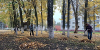 В брянском сквере Гайдукова прошла «санитарная пятница» - БрянскToday.Ru