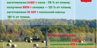 Предварительные итоги сельскохозяйственных работ в Афанасьевском округе. - Афанасьевский муниципальный округ