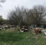 Россельхознадзор проследил за устранением 27 свалок в Астраханской области - Bloknot-Astrakhan.Ru