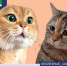 Культура общения — дело общее. - Щучанский муниципальный округ