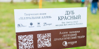 Аллею из 25 дубов высадили на Липецком городище в честь юбилея драмтеатра - Липецкая ГТРК
