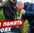 В Новомосковске на Аллее Славы высадили 30 туй - ИА Новомосковск Сегодня