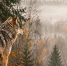 Картинка - Regions.Ru