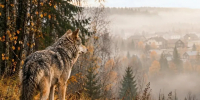 Картинка - Regions.Ru