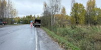 В Петродворцовом районе Петербурга прочистили поросль - Spbdnevnik.ru