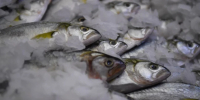 Куменская организация продавала рыбную продукцию неизвестного происхождения - Комсомольская Правда