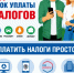 Срок уплаты налогов завершается 1 декабря. - Комитет по жилищному и строительному надзору