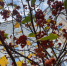 Фото: News29 - News29.Ru