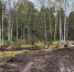 Картинка - Regions.Ru