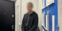 Сотрудники полиции задержали мужчин, которые убили кота при астраханке - ГТРК Лотос