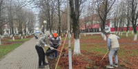 Брянцы помогли дорожникам навести порядок в родном городе - ИА Наш Брянск.ru