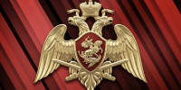 Справку о наличии оружия можно получить дистанционно через электронный сервис Росгвардии - Росгвардия