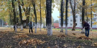 В Брянске дорожникам помогли с уборкой листвы - Комсомольская Правда