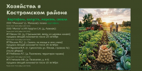 Костромичи могут приобрести сезонные овощи и картофель на сельхозярмарках и напрямую в хозяйствах - Город Кострома