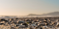 Фото: freepik.com - Sochi.Com