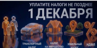 Уплатите налоги не позднее 1 декабря. - Грязовецкий муниципальный округ