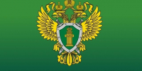 Приозерская городская прокуратура разъясняет: - Газета Приозерские ведомости