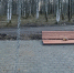 В Прикамье вандалы уничтожили новый городской сквер - Комсомольская Правда