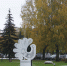 background - Вологда-поиск