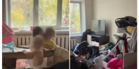 Полиция забрала детей из квартиры в Рязани, где они жили среди мусора - Комсомольская Правда