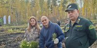 Сотрудники  инспекции присоединились к Всероссийской акции «Сохраним лес» - Инспекция гостехнадзора