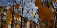 7LcAFEMrQxIY_GGEWcuVb__mmBnI0JKjzhwqATEWQo91VGuwnxpyYMdHyROF6BosCwUgC0Muyj5MOHCIcZWFGrII - Рязанские ведомости
