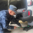 Водители УФСИН Ставрополья поборолись за звание лучших - Вечерний Ставрополь
