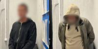 В Астрахани задержали двух мужчин по подозрению в убийстве уличного кота - Сетевое издание Арбуз