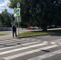 902 пешехода оштрафовали на белгородских дорогах за неделю рейда - Сетевое издание Победа 31