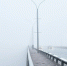 Фото: ПАИ - InformPskov.Ru