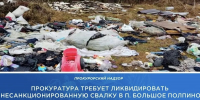 Чиновников через суд заставили убрать свалку у озера Керамзитное - Сетевое издание Новости Брянска