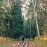 В пролеске у школы № 6 вновь зажгут фонари - Chepetsk.ru
