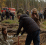 Под Воронежем на месте выгоревшего леса высадили 20 тысяч сосен - TV-Gubernia.Ru