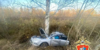 В Подмосковье водитель легкового автомобиля погиб после наезда на дерево - РТВ-Подмосковье