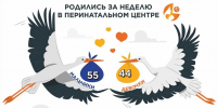 В Ленинградском перинатальном центре за неделю родились 99 малышей - 47Channel.Ru