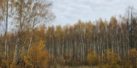 Картинка - Regions.Ru