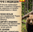 Как не встретить медведя!. - Ермаковский район