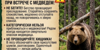 Как не встретить медведя!. - Ермаковский район