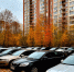 Две трети российских семей имеют личный автомобиль - K-Ur.Info