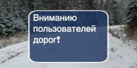 На трассе Селихино — Николаевск-на-Амуре ограничили движение из-за поваленных деревьев - КП Хабаровск