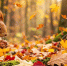 qRXKOoX3vnaPT_1RF8elClllzQoxwQcuo2hM8YHe4VLvX74hq96MvtNsCouFVMgK8LgSTJkT28gj8BAhyqag5gff0h7Few - ЗА Новомосковск