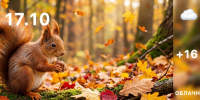 qRXKOoX3vnaPT_1RF8elClllzQoxwQcuo2hM8YHe4VLvX74hq96MvtNsCouFVMgK8LgSTJkT28gj8BAhyqag5gff0h7Few - ЗА Новомосковск