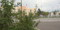 В регионе прогнозируют первый класс пожарной опасности - Истра.РФ