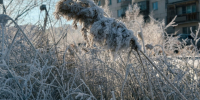 Метели и -30 градусов: прогноз погоды в Якутии на 18 октября - Yakutia-Daily.Ru