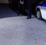 JPEG Файл - ГУ МВД Ставропольского края 