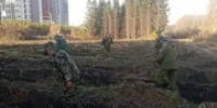 администрация уфы горзеленхоз - Башинформ