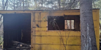 В Челябинской области поймали вора прямо во время кражи строительного вагона - Pchela.News