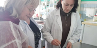 Проверка школьного питания —  свежие продукты и вкусные блюда для детей - Газета Сельская новь
