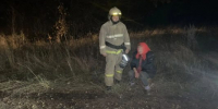 Грибы завели орловчанку в соседний регион - OrelTimes.Ru