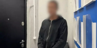 Двух астраханцев задержали за расстрел кота - Астрахань 24